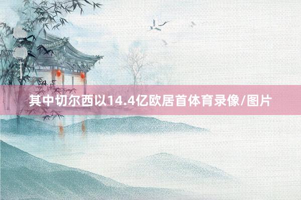 其中切尔西以14.4亿欧居首体育录像/图片