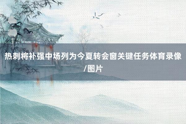 热刺将补强中场列为今夏转会窗关键任务体育录像/图片
